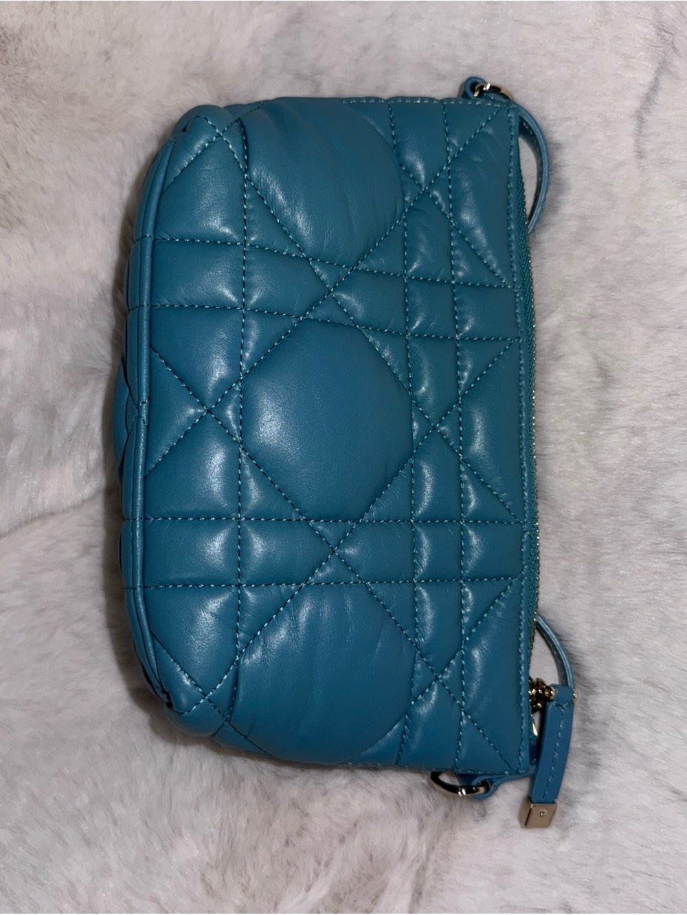 Dior leather nomad Wristlet Pouch in Teal